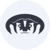 Badger Infrastructure Solutions