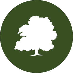 Logo de Barratt Developments Cena