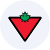 Logo Canadian Tire