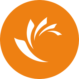 Logo de Jastrzebska Spolka Weglowa Ціна