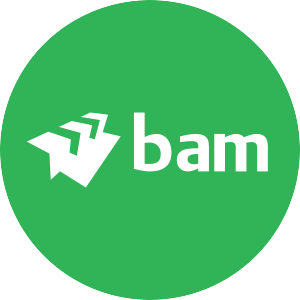 Logo de Koninklijke BAM Groep Price