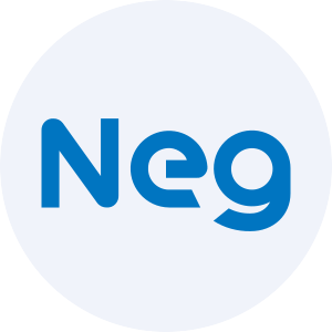 Logo de Nippon Electric Glass Pris
