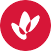 Woodside Energy Group