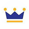 Abacus Storage King logo