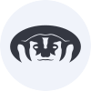 Badger Infrastructure Solutions logo