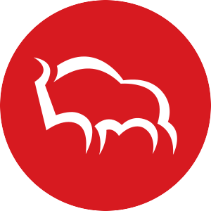Logo de Bank Polska Kasa Opieki Hinta