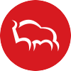 Logo Bank Polska Kasa Opieki